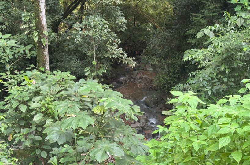 Homes for sale in Orotina Costa Rica