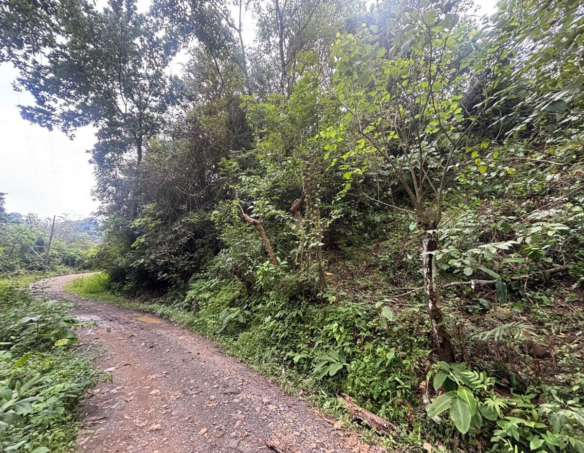 Homes for sale in Orotina Costa Rica