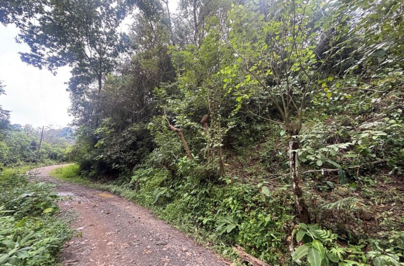 Homes for sale in Orotina Costa Rica