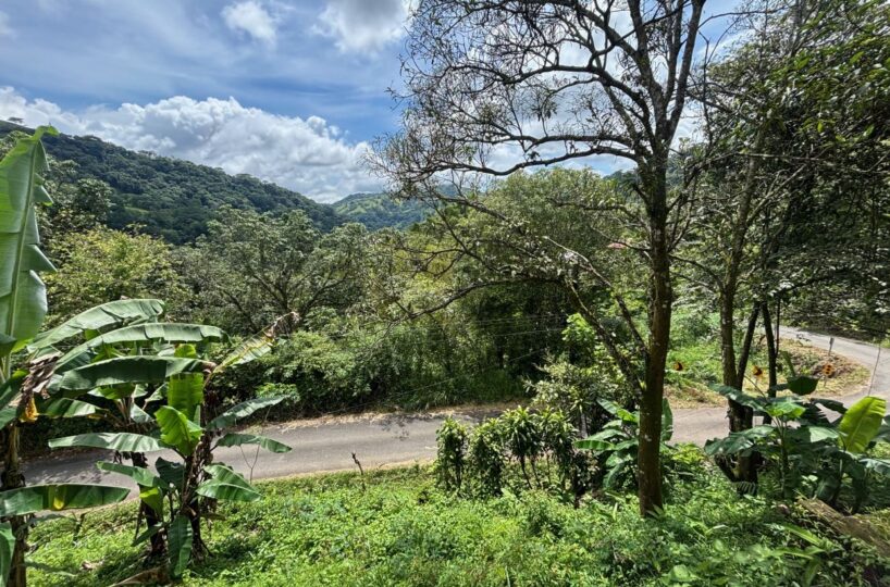 Homes for sale in Orotina Costa Rica
