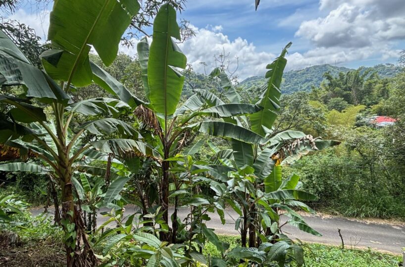 Homes for sale in Orotina Costa Rica