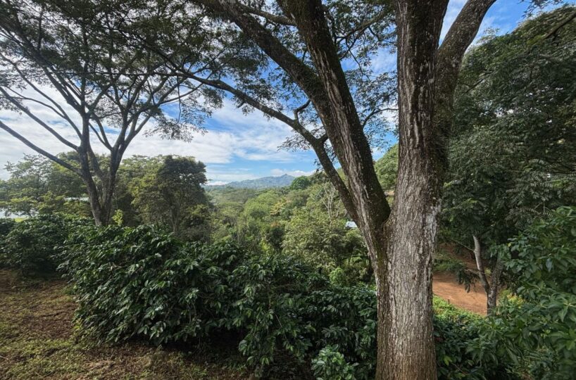 Building LotsHomes for sale in Atenas Costa Rica