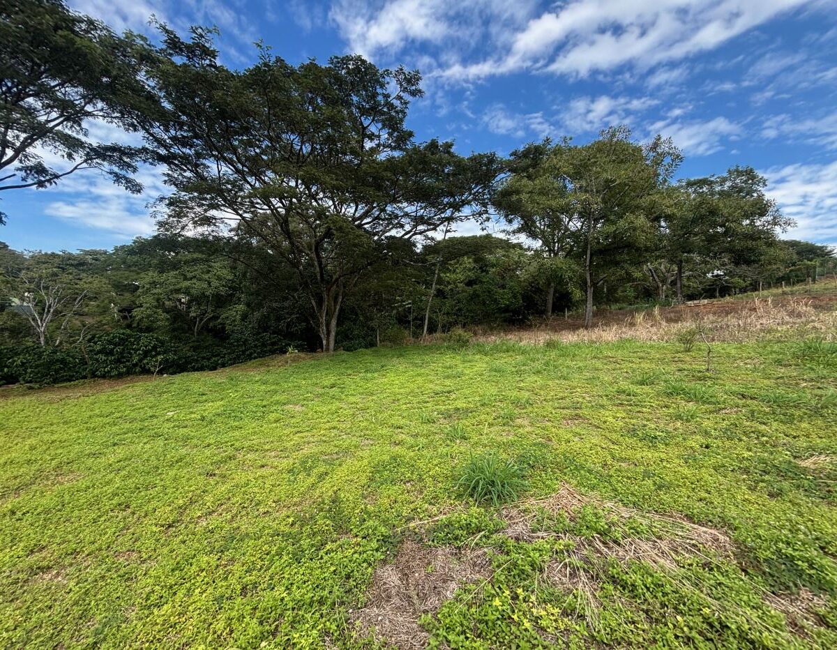 Building LotsHomes for sale in Atenas Costa Rica