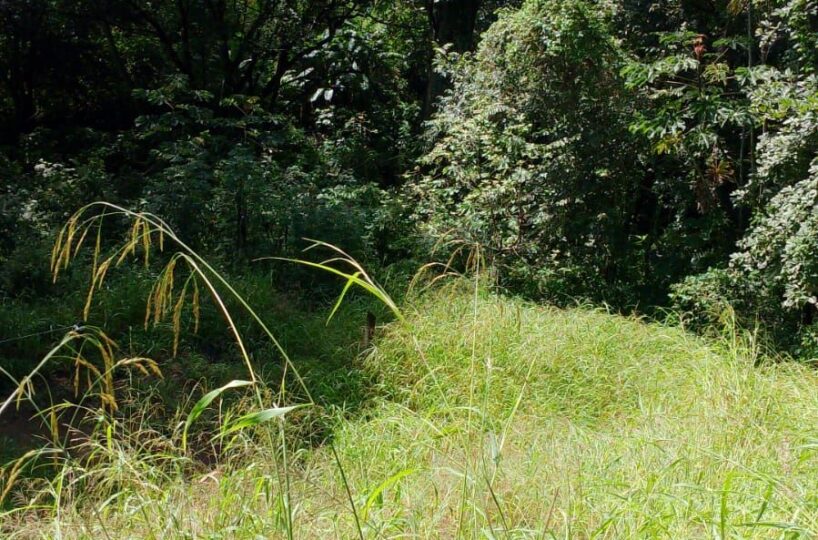 Building Lots for sale in Atenas Costa Rica