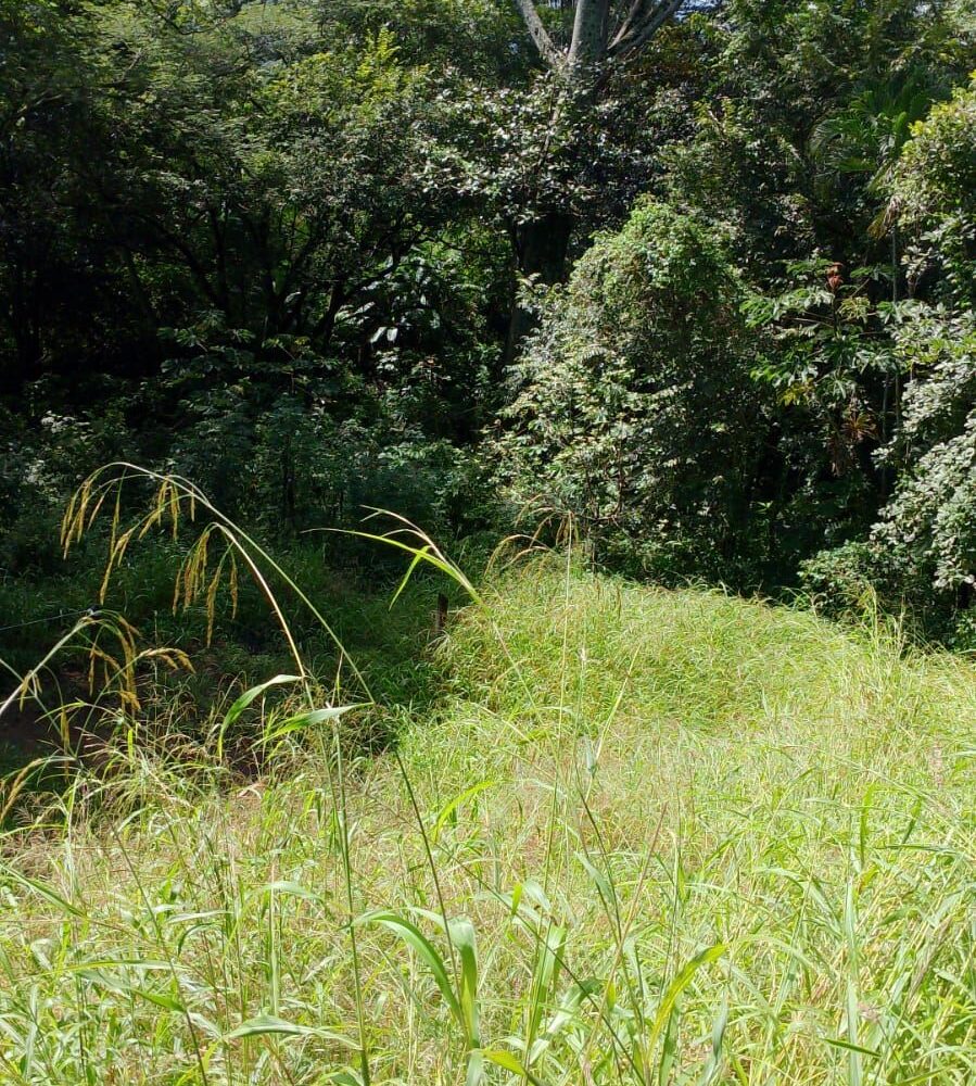 Building Lots for sale in Atenas Costa Rica