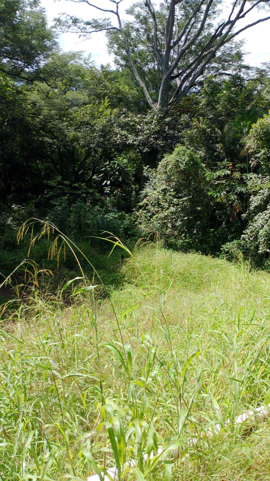 Building Lots for sale in Atenas Costa Rica