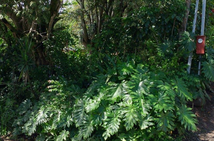 Building Lots for sale in Atenas Costa Rica