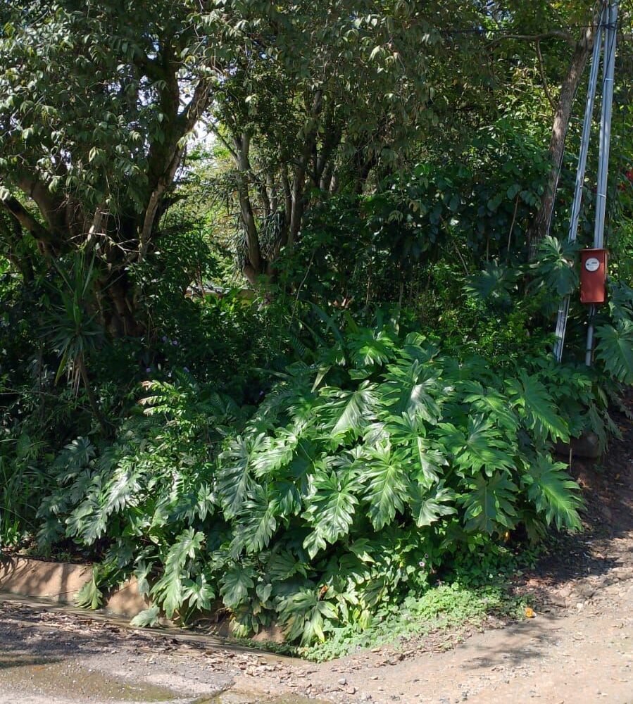 Building Lots for sale in Atenas Costa Rica