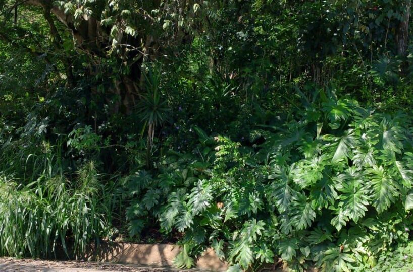 Building Lots for sale in Atenas Costa Rica