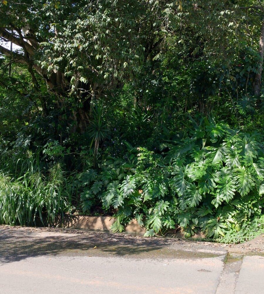 Building Lots for sale in Atenas Costa Rica