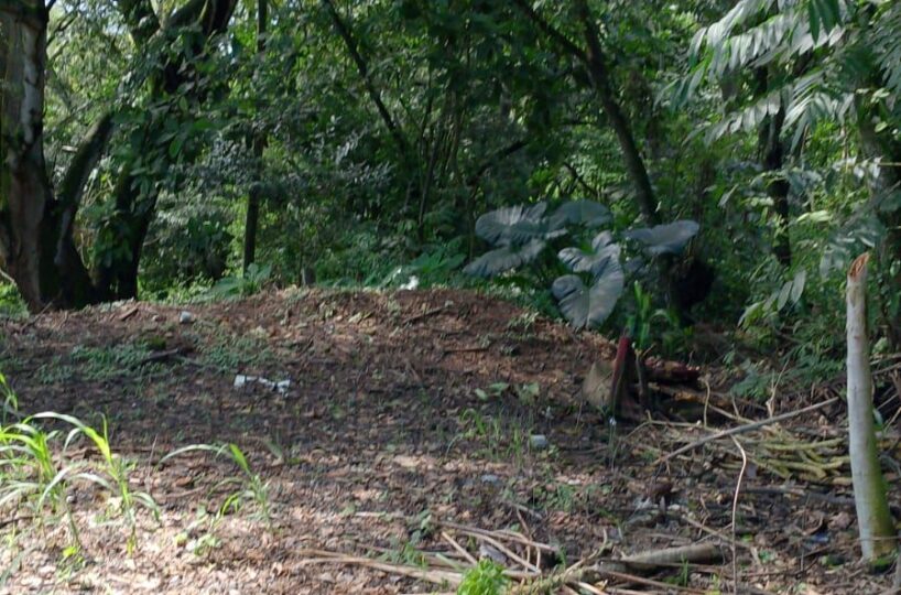 Building Lots for sale in Atenas Costa Rica