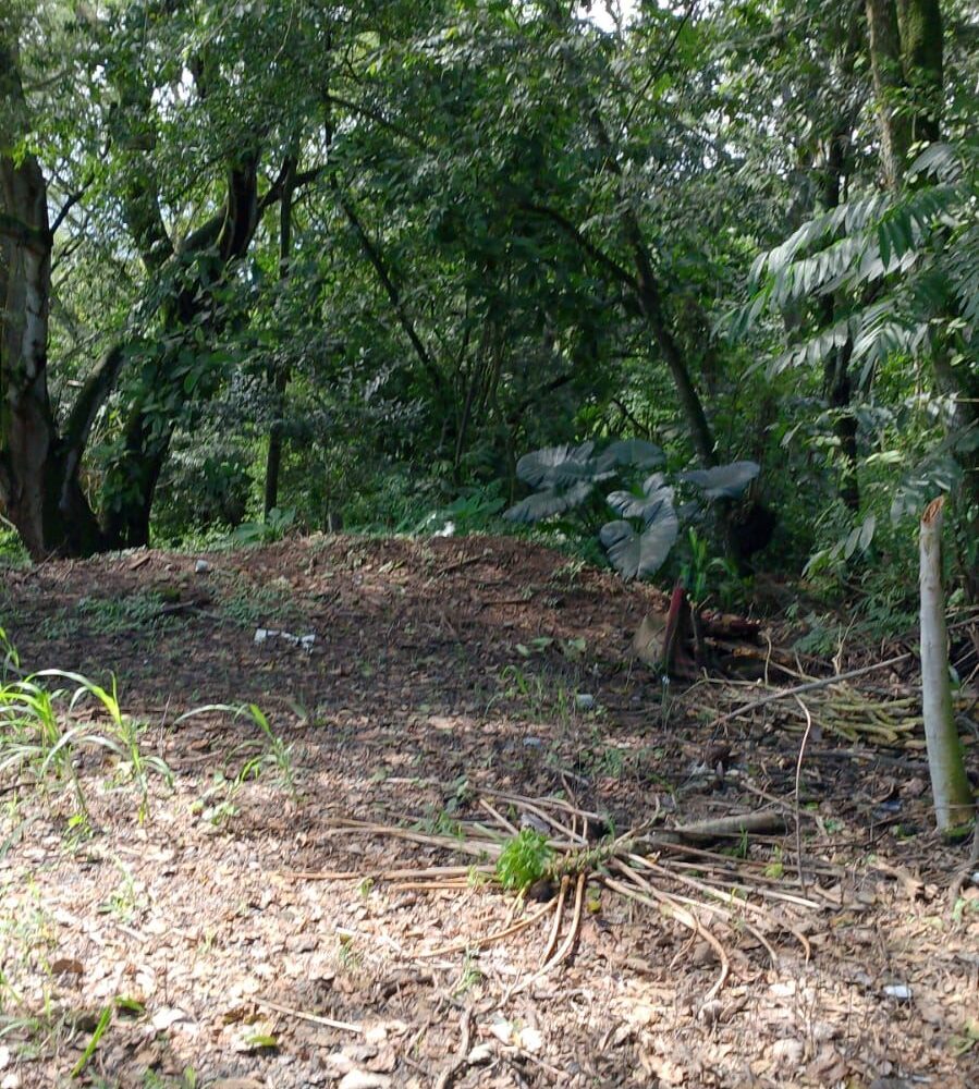 Building Lots for sale in Atenas Costa Rica