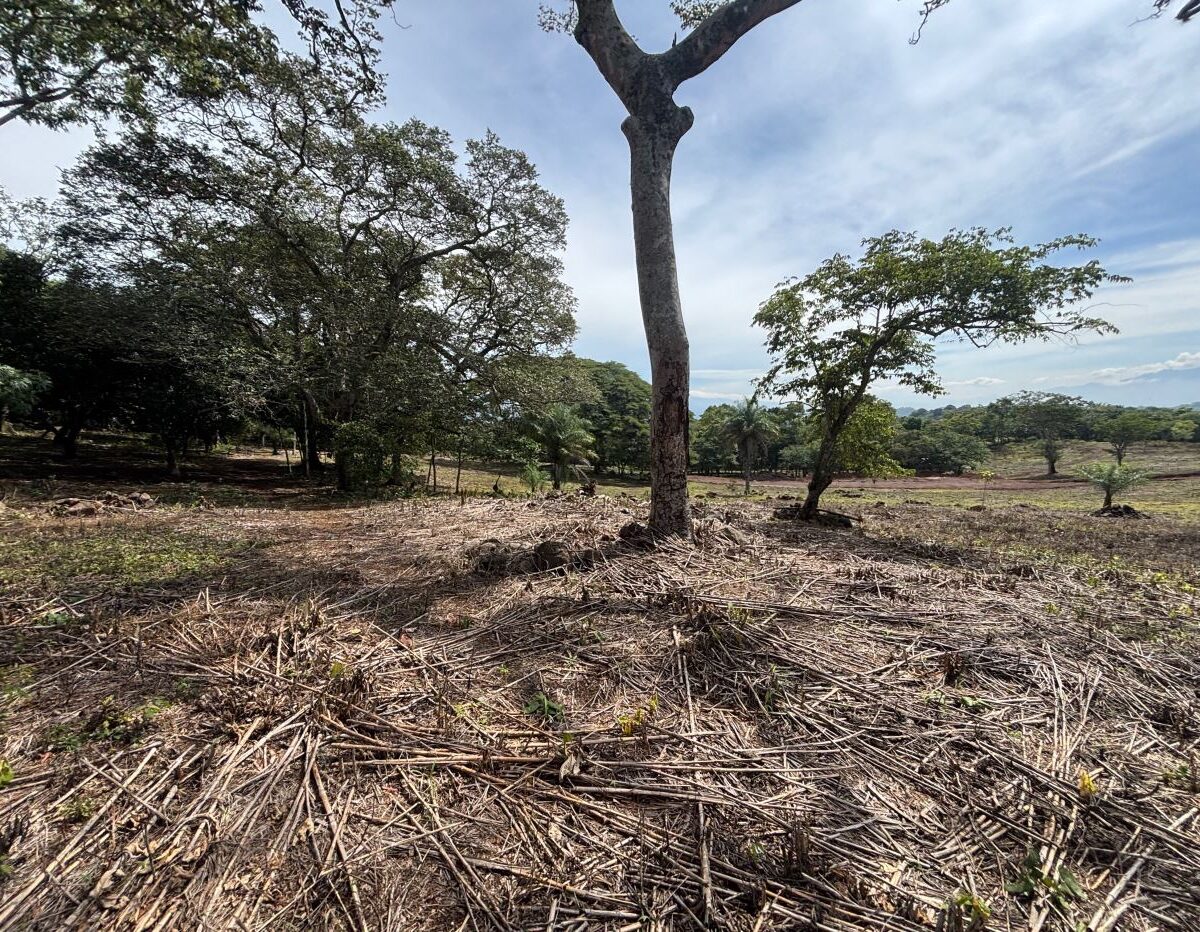 Building Lots for sale in Atenas Costa Rica