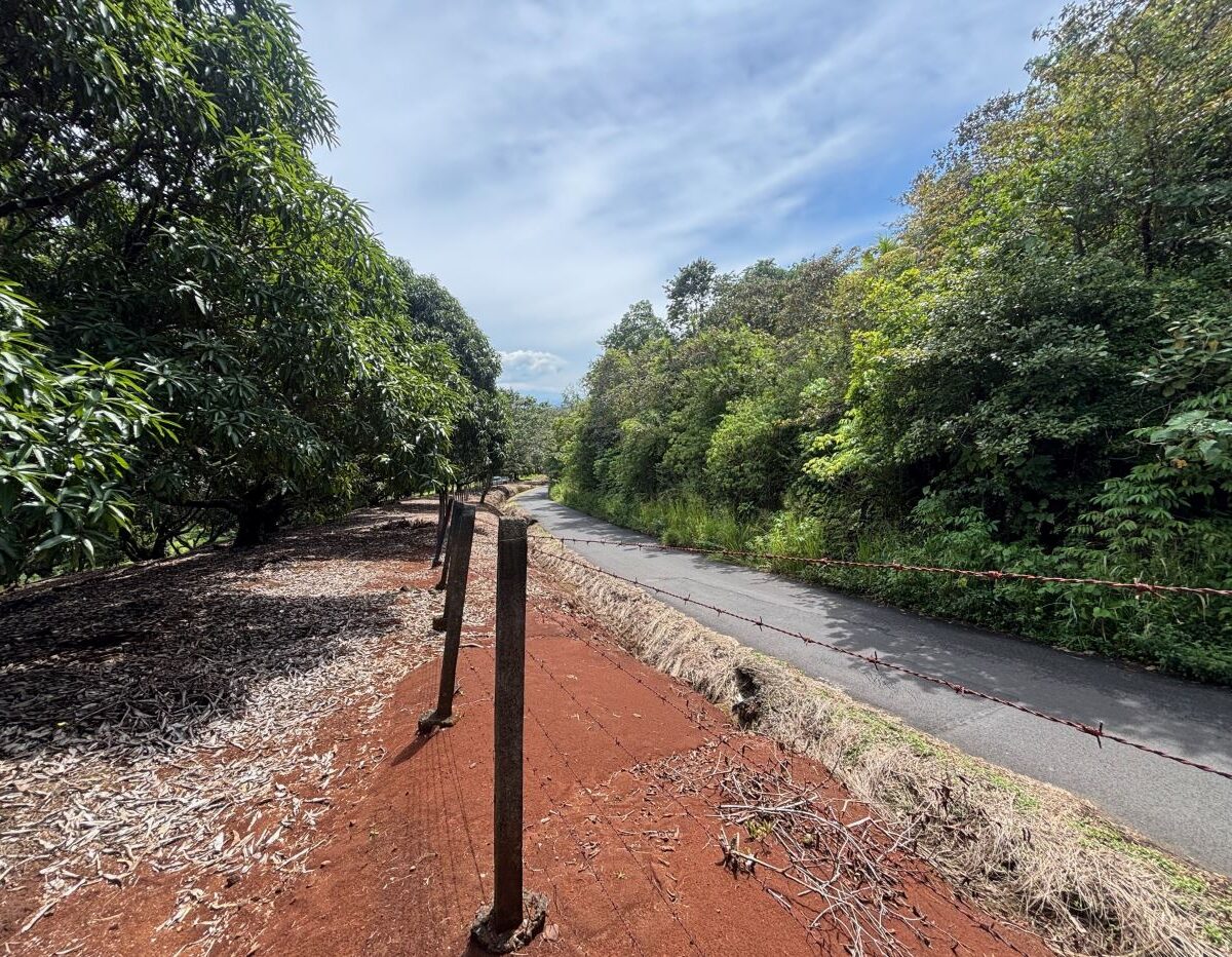 Building Lots for sale in Atenas Costa Rica