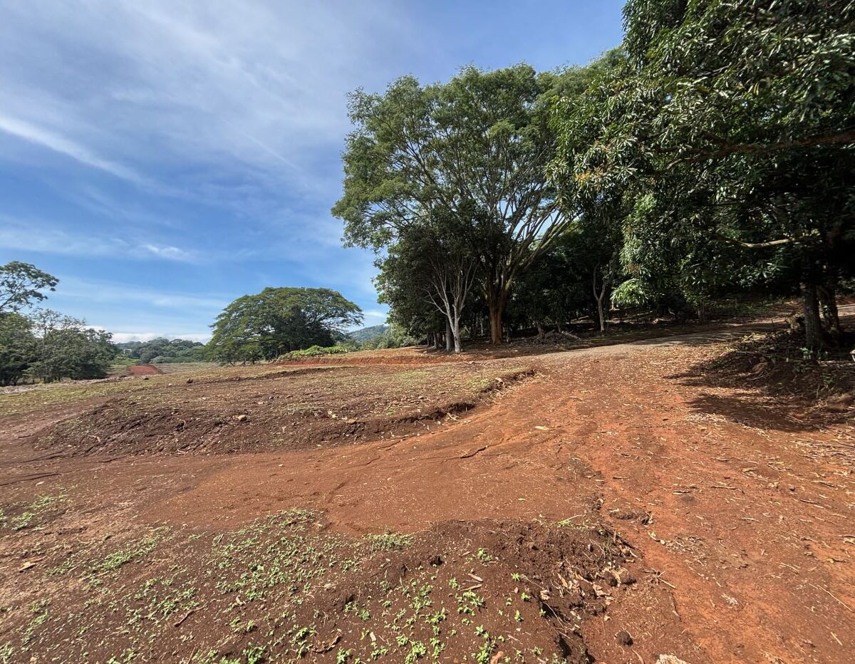 Building Lots for sale in Atenas Costa Rica