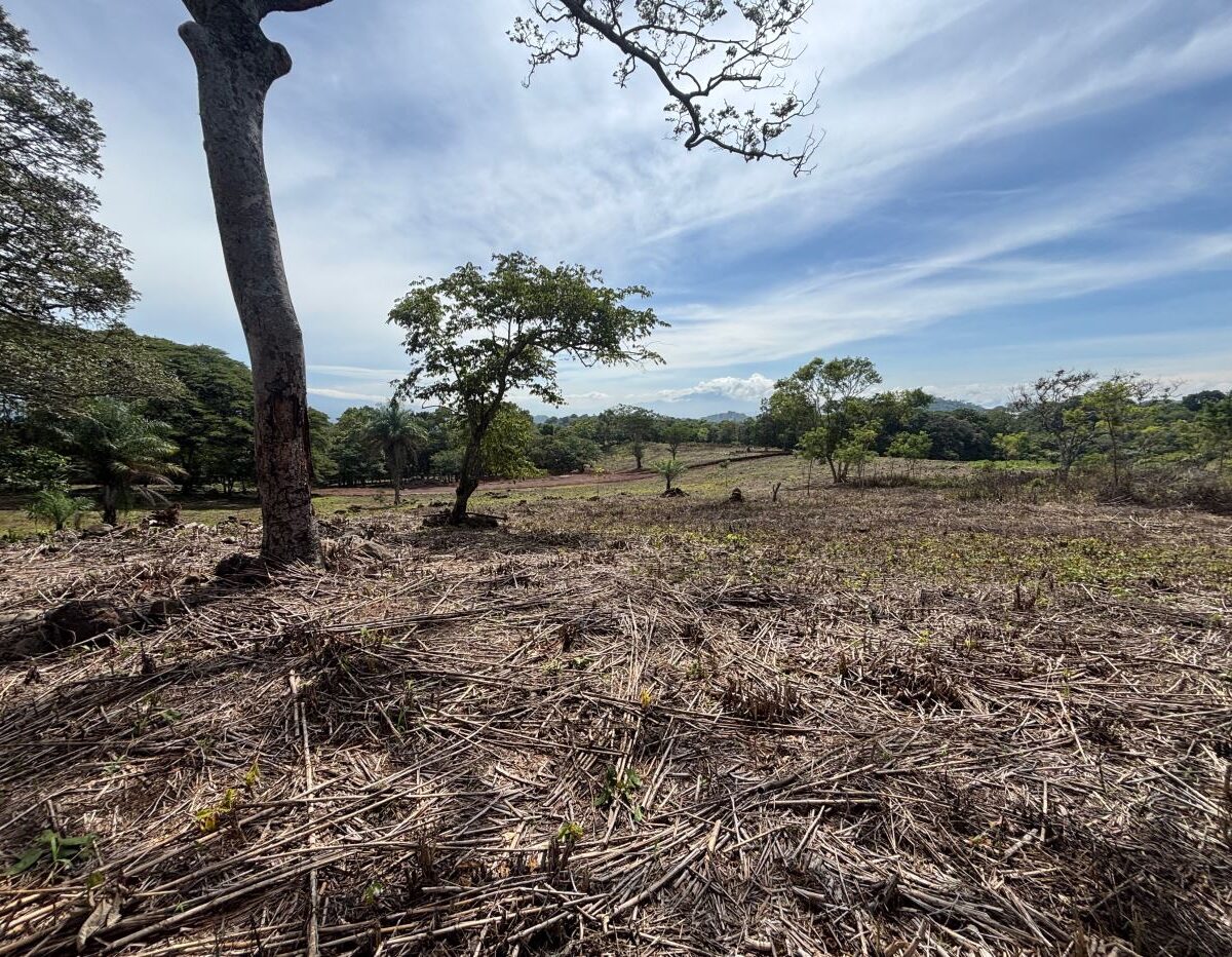 Building Lots for sale in Atenas Costa Rica