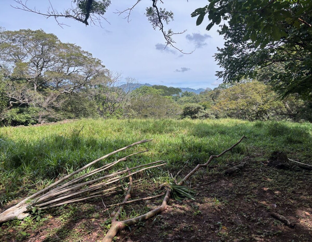 Building Lots for sale in Atenas Costa Rica