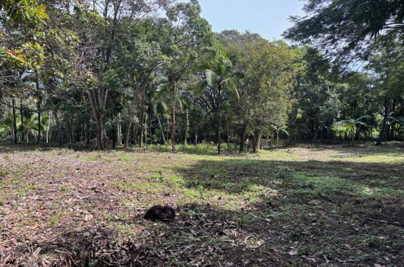 Building Lots for sale in Atenas Costa Rica
