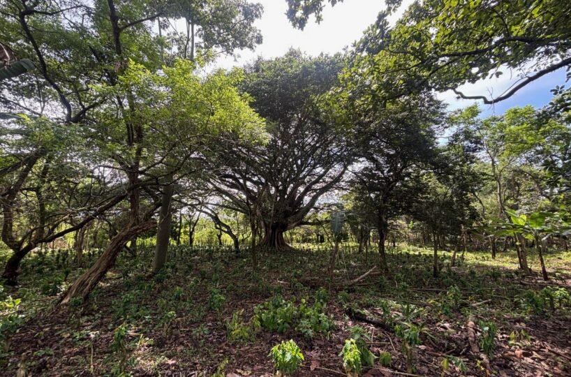 Building Lots for sale in Atenas Costa Rica