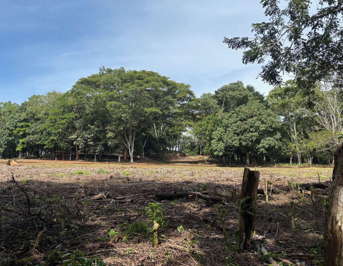 Building Lots for sale in Atenas Costa Rica