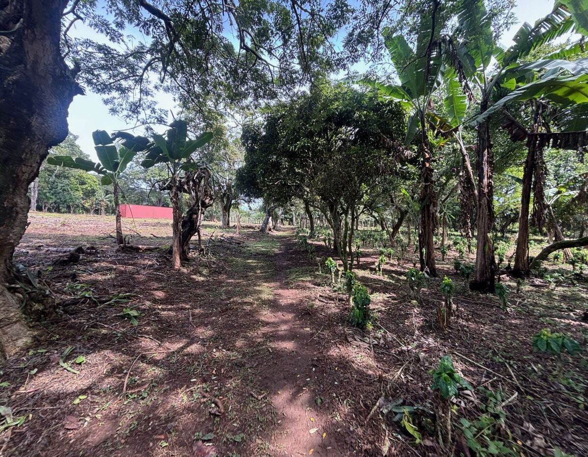 Building Lots for sale in Atenas Costa Rica