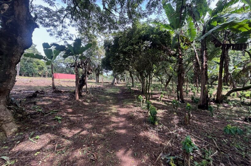 Building Lots for sale in Atenas Costa Rica
