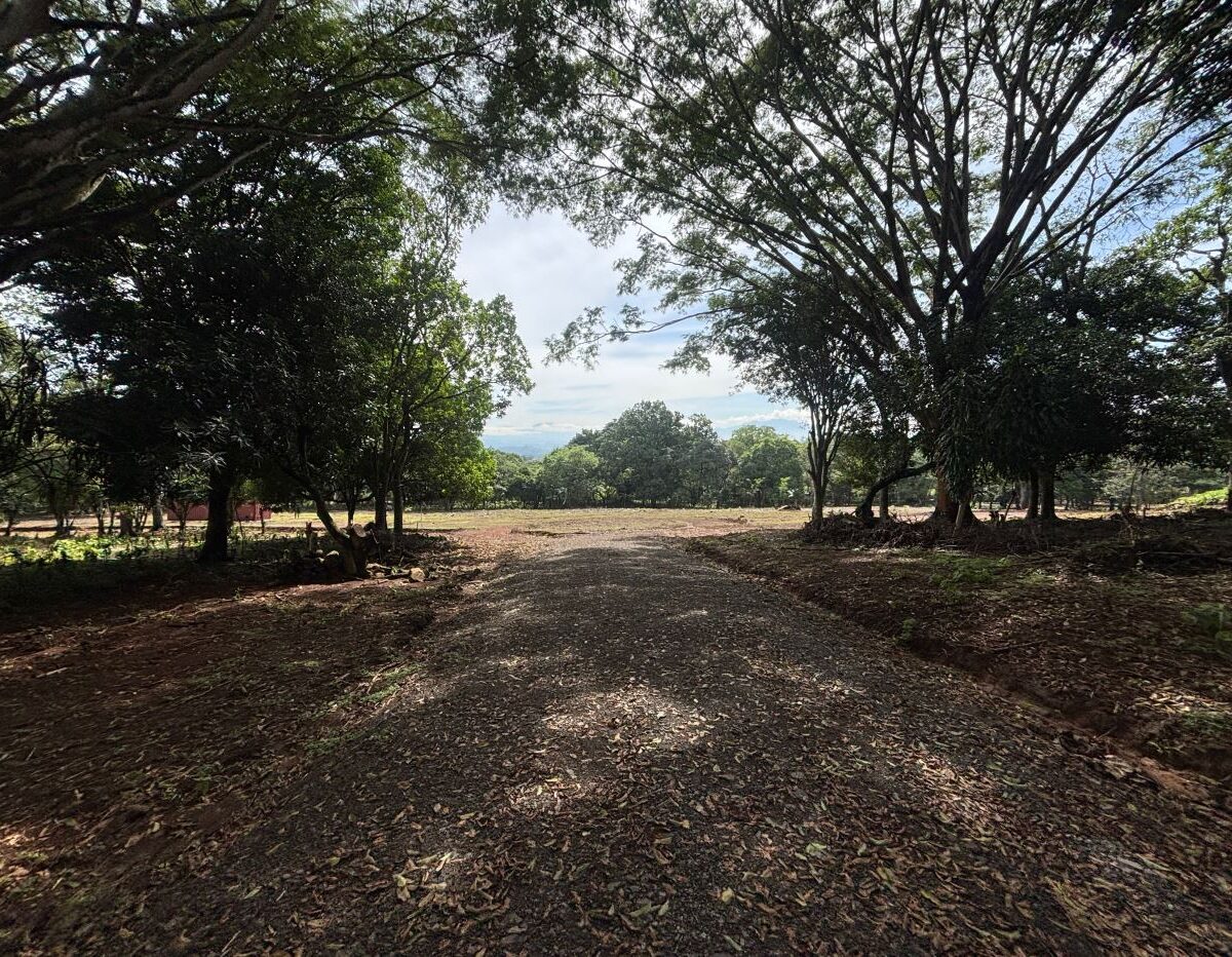 Building Lots for sale in Atenas Costa Rica