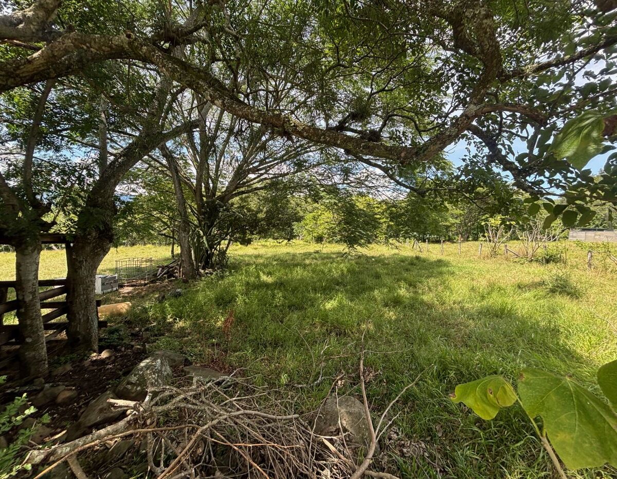 Building Lots for sale in Atenas Costa Rica