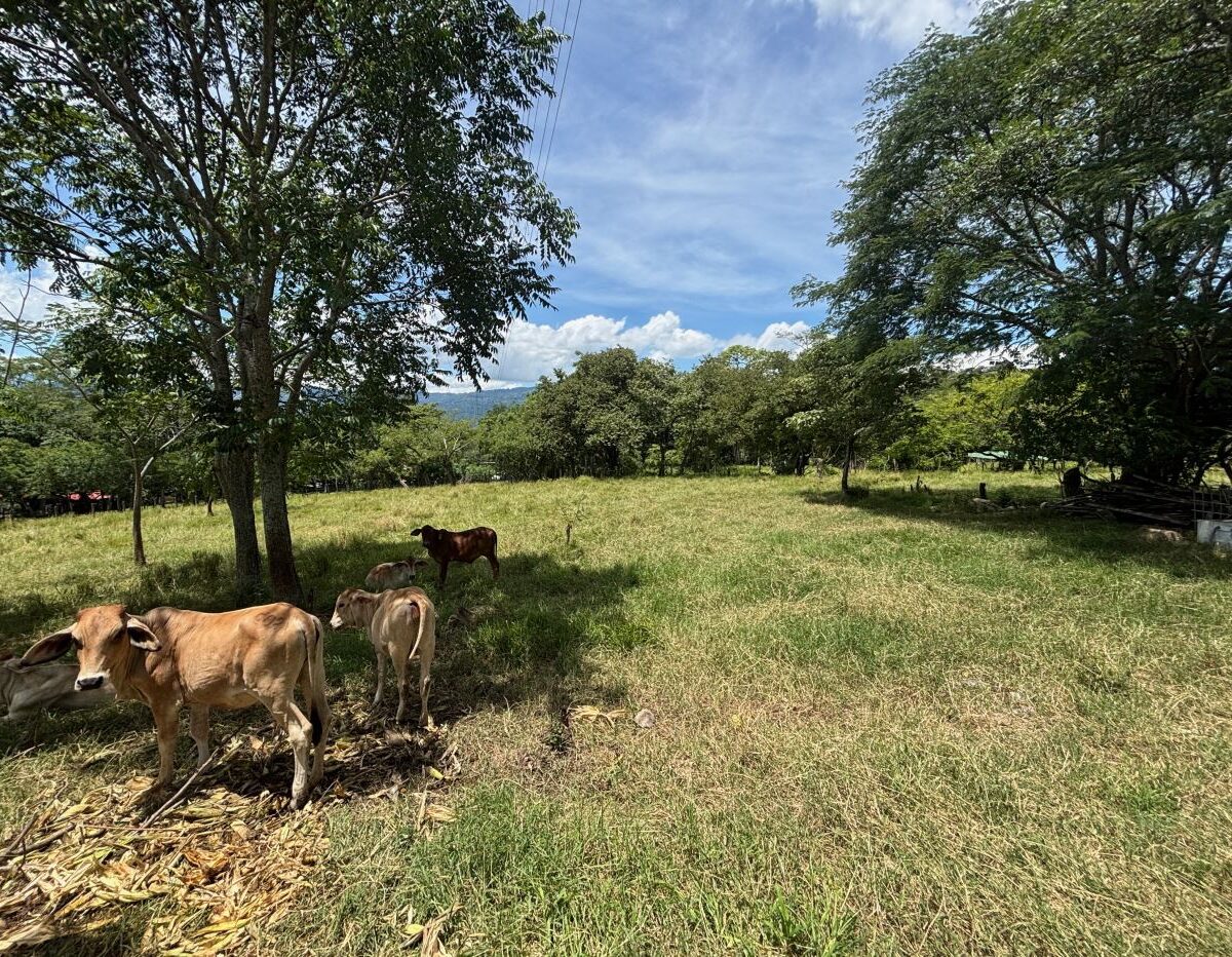 Building Lots for sale in Atenas Costa Rica