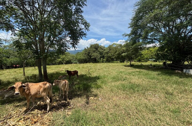 Building Lots for sale in Atenas Costa Rica