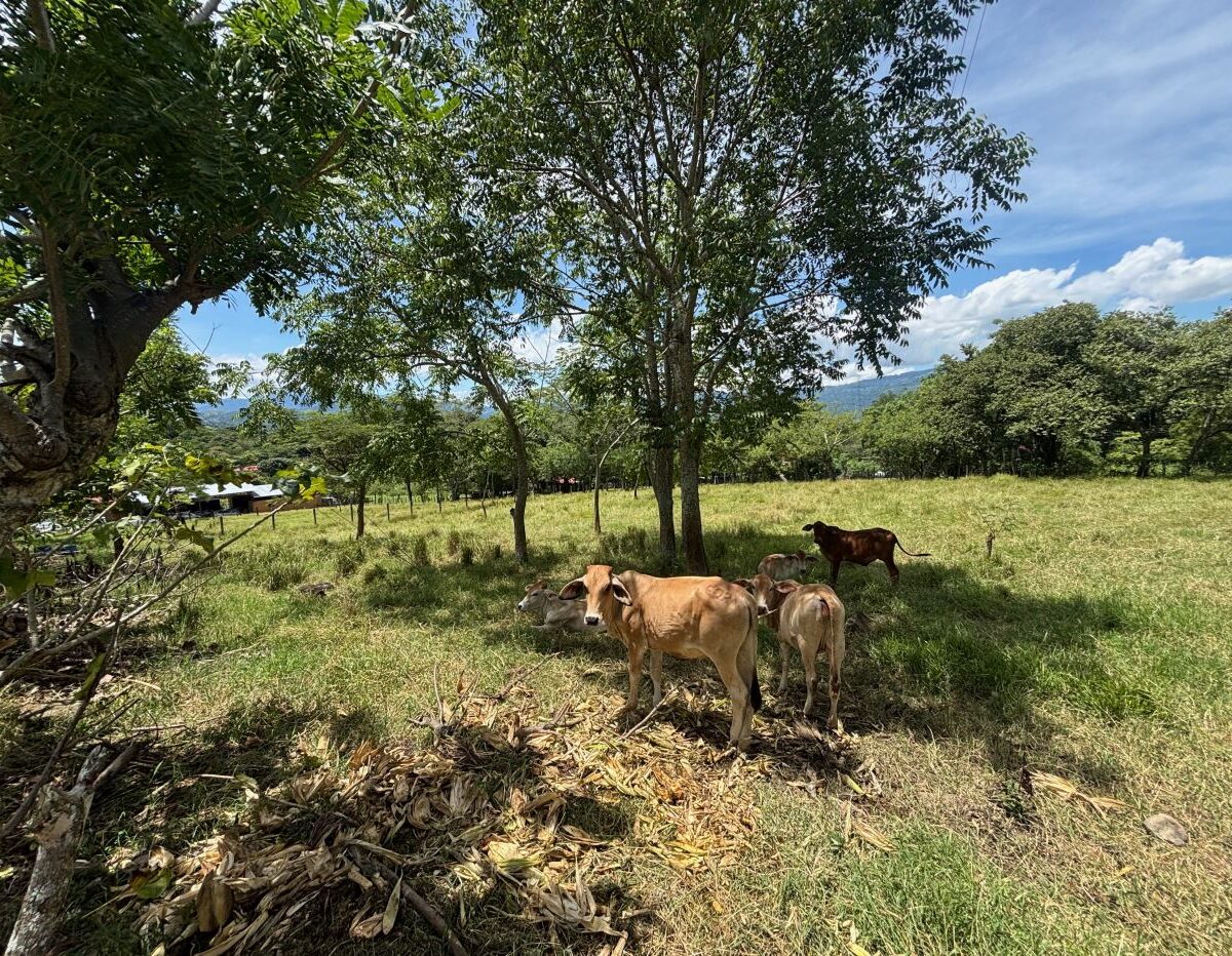 Building Lots for sale in Atenas Costa Rica