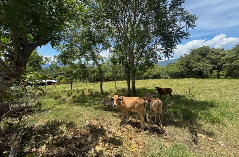 Building Lots for sale in Atenas Costa Rica