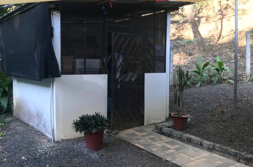 Homes for sale in Atenas Costa Rica