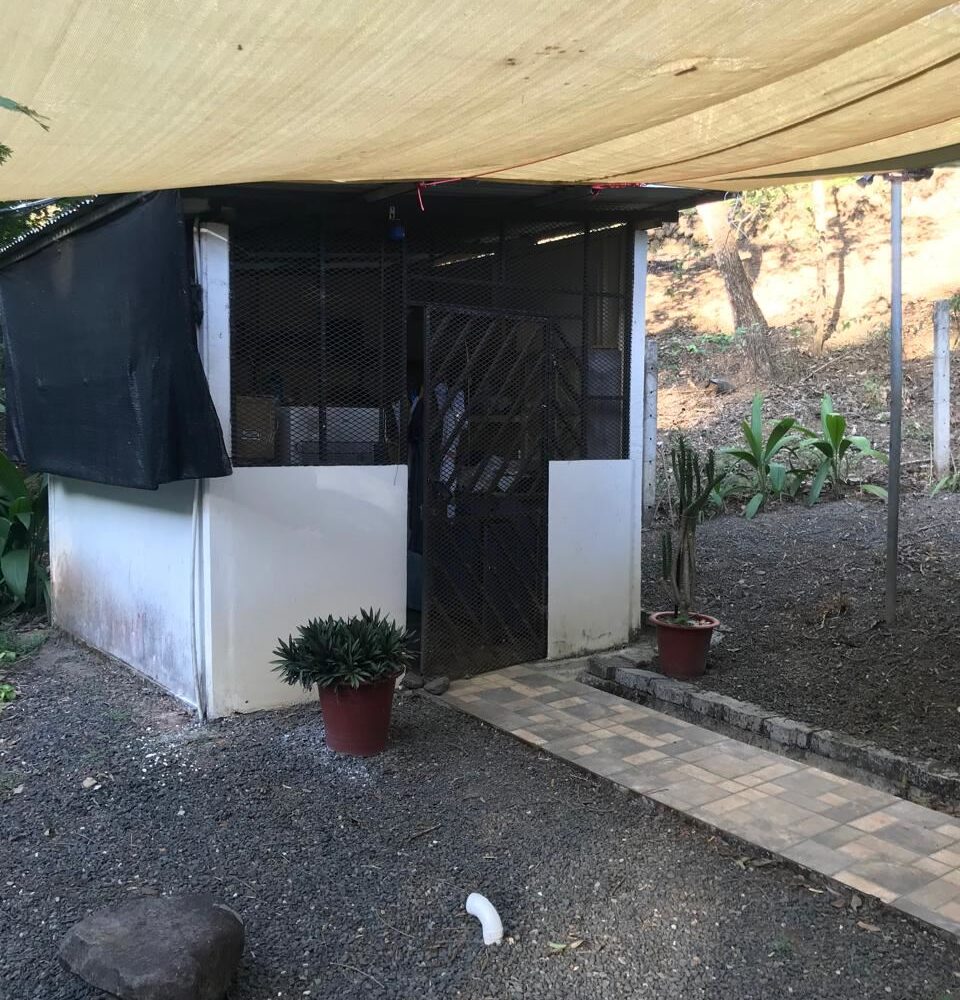 Homes for sale in Atenas Costa Rica