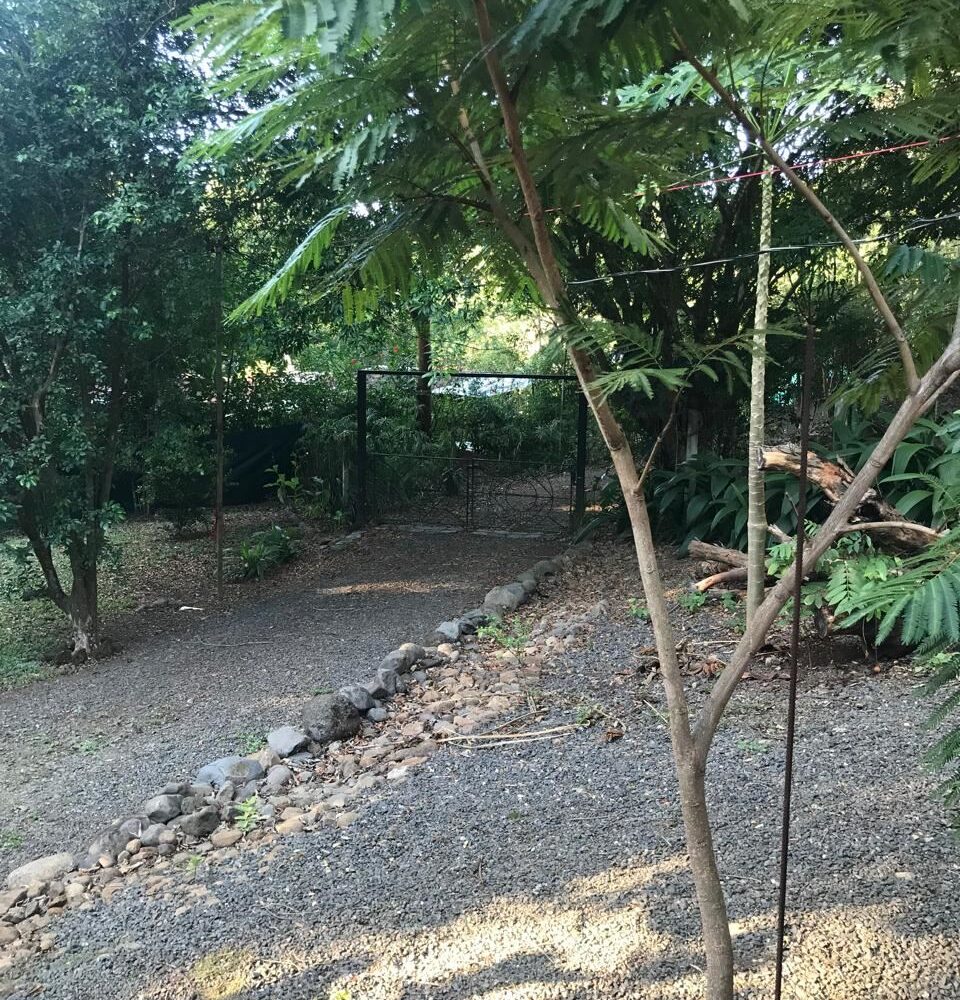 Homes for sale in Atenas Costa Rica