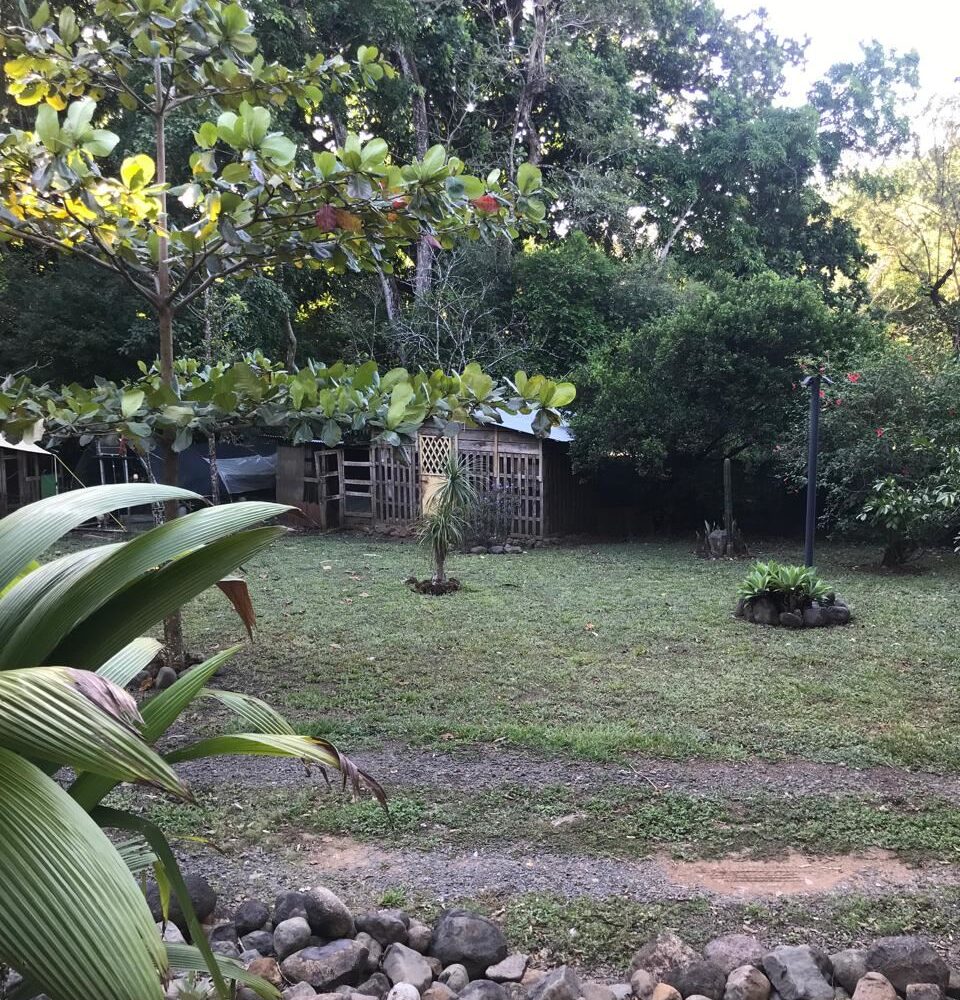 Homes for sale in Atenas Costa Rica