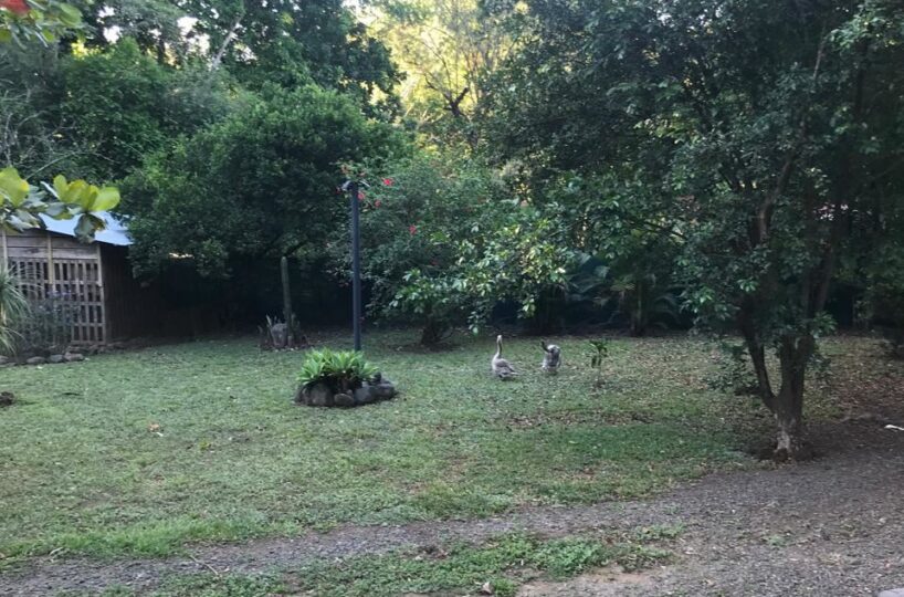 Homes for sale in Atenas Costa Rica