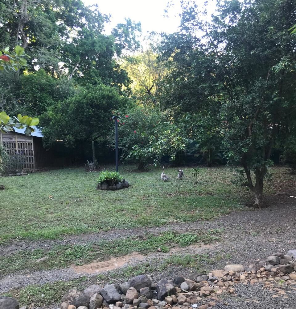 Homes for sale in Atenas Costa Rica