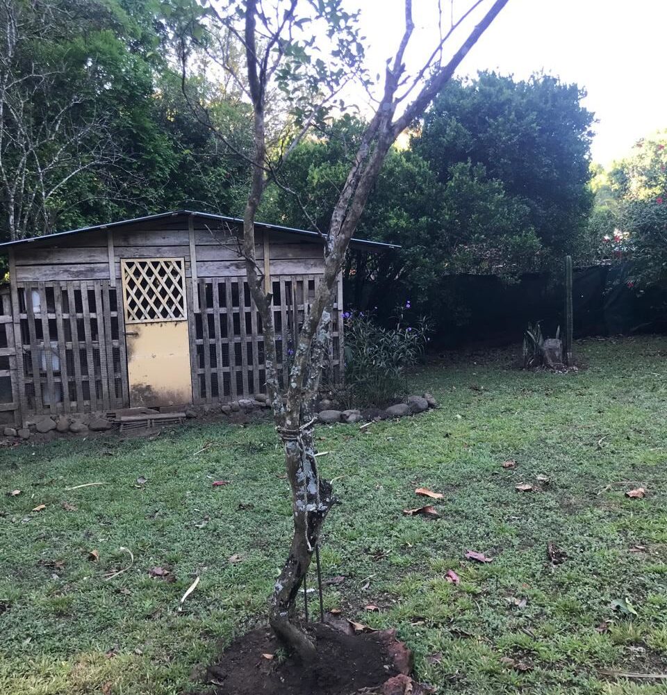 Homes for sale in Atenas Costa Rica