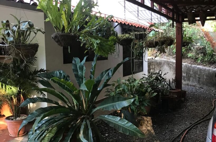 Homes for sale in Atenas Costa Rica
