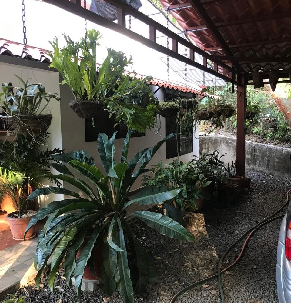 Homes for sale in Atenas Costa Rica