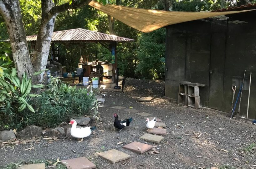 Homes for sale in Atenas Costa Rica