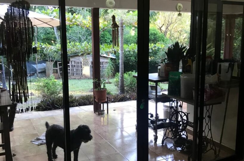 Homes for sale in Atenas Costa Rica