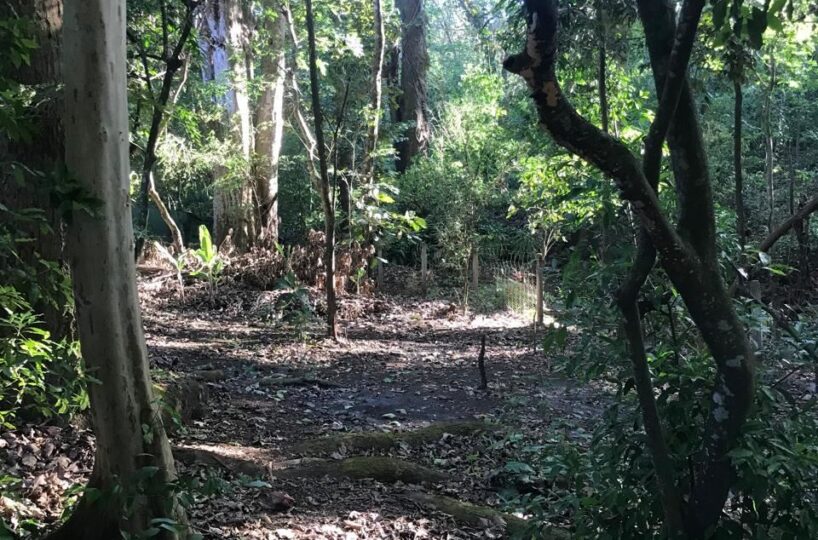 Homes for sale in Atenas Costa Rica