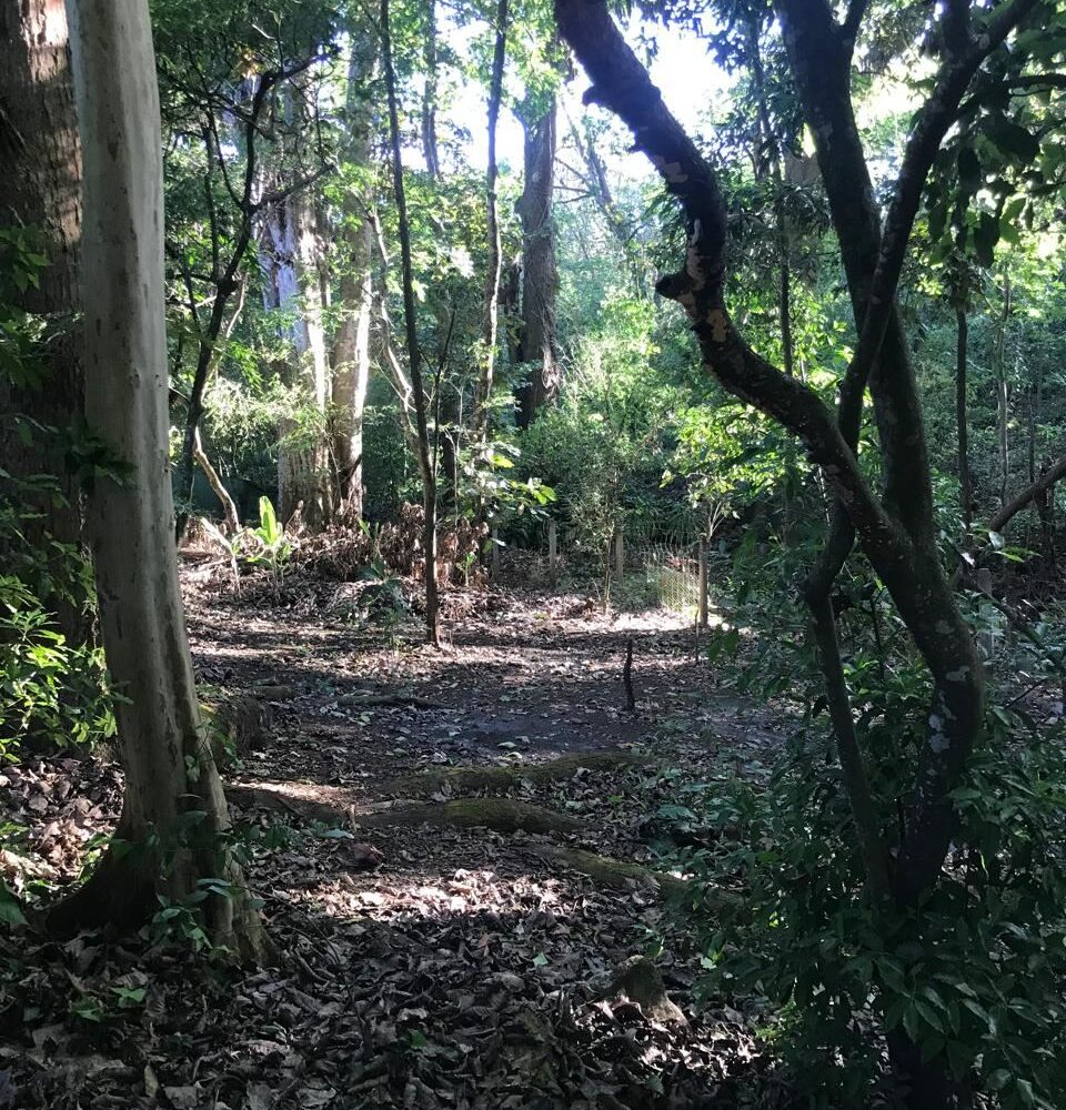 Homes for sale in Atenas Costa Rica