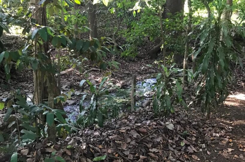 Homes for sale in Atenas Costa Rica