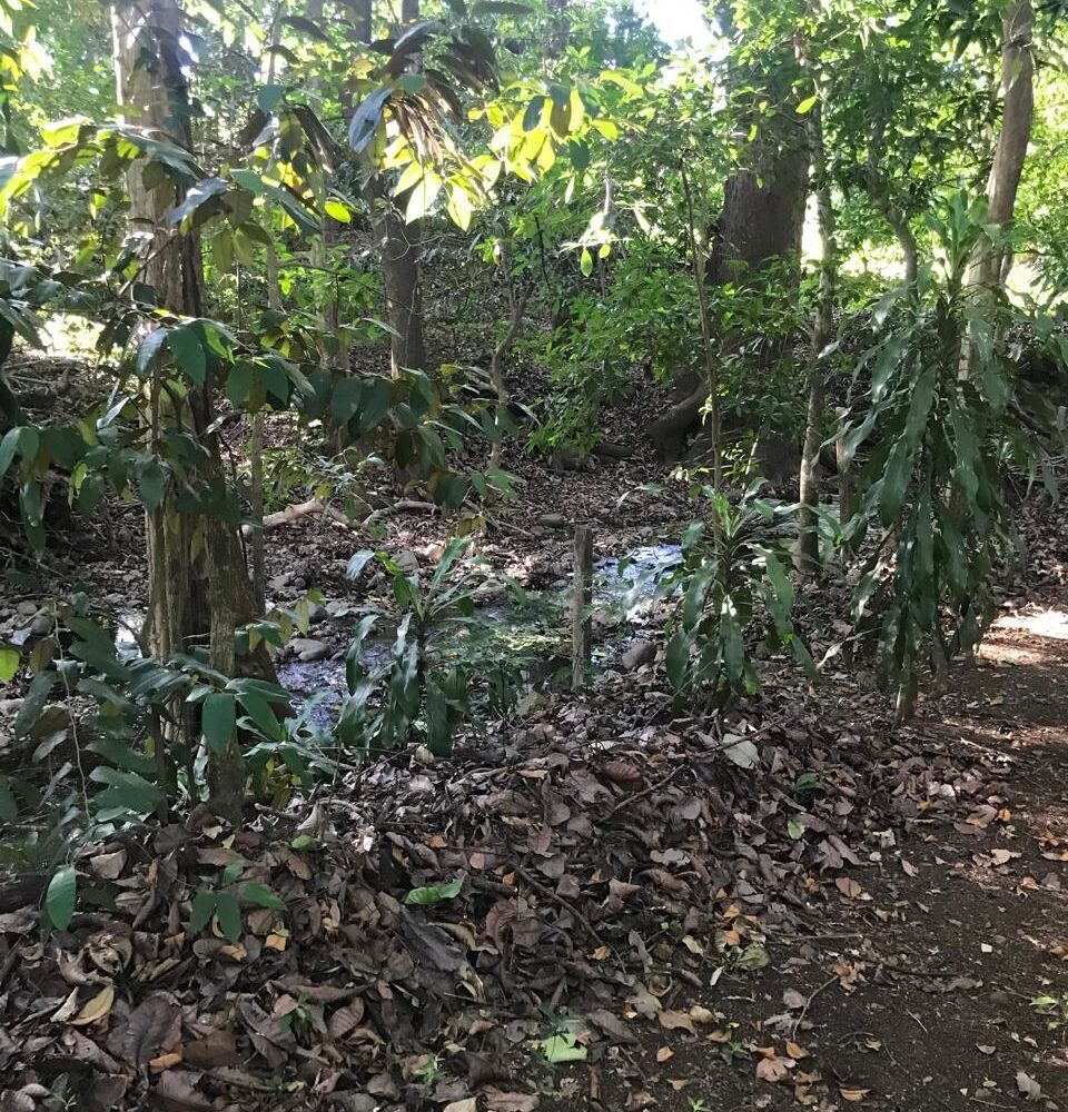 Homes for sale in Atenas Costa Rica