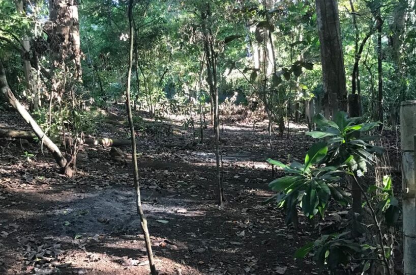 Homes for sale in Atenas Costa Rica