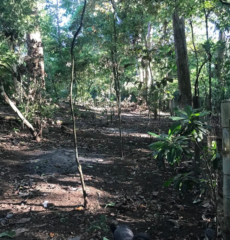 Homes for sale in Atenas Costa Rica