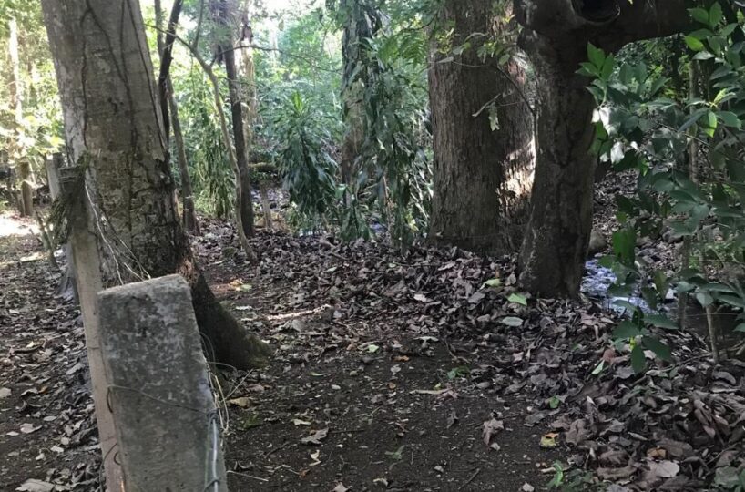 Homes for sale in Atenas Costa Rica